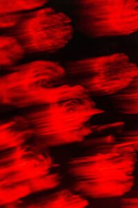 9187d7eeb3efdc4791fa5f9e160855b3aaacbc5f